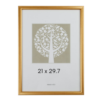 Pildiraam kuldne plastik 21x29,7cm